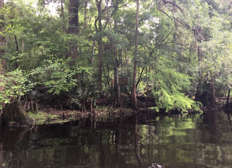 River Rise Preserve State Park, Florida, USA